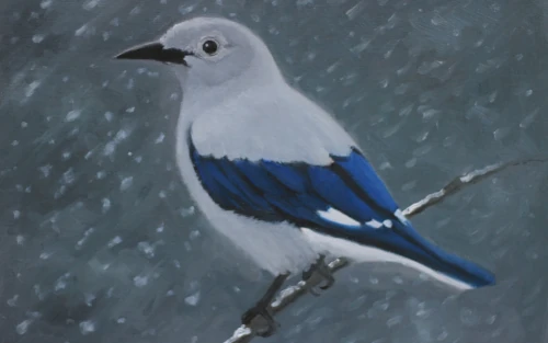 Oil painting of Clark's Nutcracker in snowstorm in Yellowstone National Park by Gio Argentati