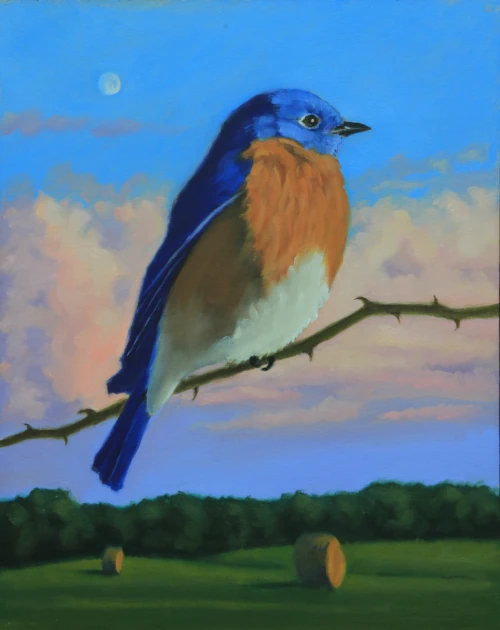 Oil painting of Eastern Bluebird by Gio Argentati