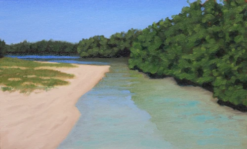 landscape oil painting of Florida red mangroves plein air by Gio Argentati