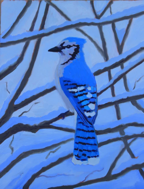 Oil painting of blue jay in snow by Gio Argentati