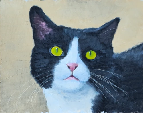 oil painting of tuxedo cat by Gio Argentati 